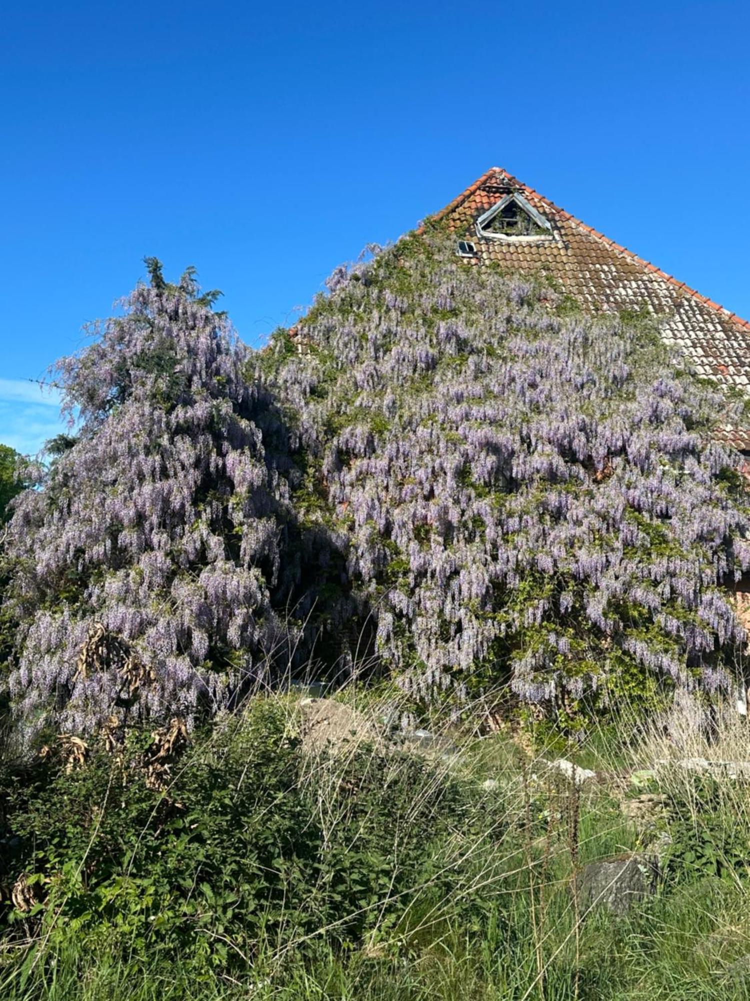 Kornmuehle Doppelzimmer Muehlenstein Mellenthin Exterior foto